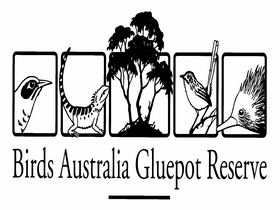 Birds Australia Gluepot Reserve - Tweed Heads Accommodation 0