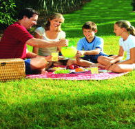 Bruny Island Berry Farm - Tweed Heads Accommodation
