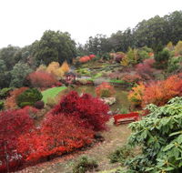 Emu Valley Rhododendron Garden - Tweed Heads Accommodation