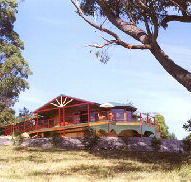 Barringwood Park Vineyard - Tweed Heads Accommodation