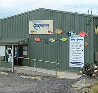 Stanley Seaquarium - Tweed Heads Accommodation