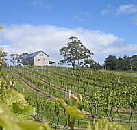 Bruny Island Premium Wines Bar and Grill - Tweed Heads Accommodation