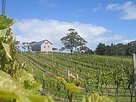 Bruny Island Premium Wines Bar And Grill - Tweed Heads Accommodation 0