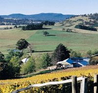Freycinet Vineyards Pty Ltd - Tweed Heads Accommodation