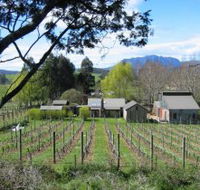 Wilmot Hills Vineyard - Tweed Heads Accommodation