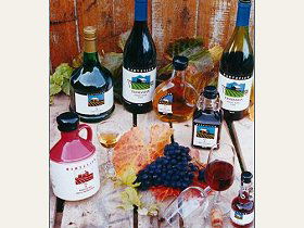 Hartzview Vineyard - Tweed Heads Accommodation 0