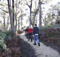 Bridport Walking Track - Tweed Heads Accommodation