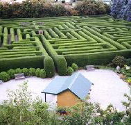 Westbury Maze and Tea Room - Tweed Heads Accommodation