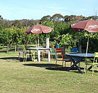 Cerise Brook Orchard  Family Golf - Tweed Heads Accommodation