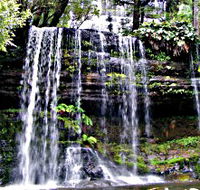 Mt Field National Park - Tweed Heads Accommodation