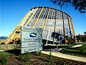 Cuckoo TAS Tweed Heads Accommodation