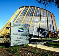 Forest EcoCentre - Tweed Heads Accommodation