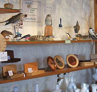 Touchwood Craft Gallery Gifts and Cafe - Tweed Heads Accommodation