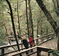Franklin River Nature Trail - Tweed Heads Accommodation