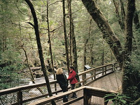 Franklin River Nature Trail - Tweed Heads Accommodation 0