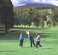 Deloraine Golf Course - Tweed Heads Accommodation