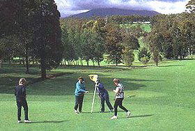 Deloraine Golf Course - Tweed Heads Accommodation 0