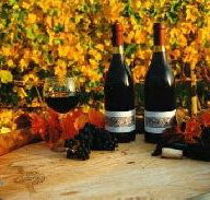 Craigow Vineyard - Tweed Heads Accommodation