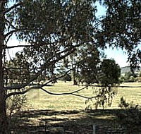 Cygnet Public Golf Course - Tweed Heads Accommodation