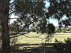 Cygnet Public Golf Course - Tweed Heads Accommodation 0