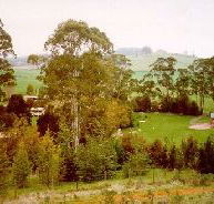 The Tasmanian Arboretum - Tweed Heads Accommodation