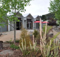 Tin Dragon Interpretation Centre and Cafe - Tweed Heads Accommodation