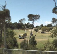 Greens Beach Golf Course - Tweed Heads Accommodation