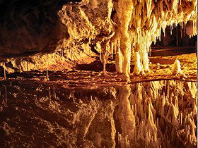Marakoopa Cave - Tweed Heads Accommodation 0
