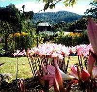 Blueberry Cottage Open Gardens - Tweed Heads Accommodation