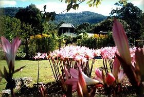 Blueberry Cottage Open Gardens - Tweed Heads Accommodation 0
