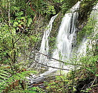 Hogarth Falls - Tweed Heads Accommodation