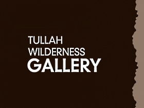 Tullah Wilderness Gallery - Tweed Heads Accommodation 0
