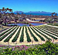 Kate's Berry Farm - Tweed Heads Accommodation
