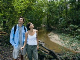 Mooloolah River National Park, Jowarra Section - Tweed Heads Accommodation 0