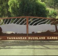 Tasmanian Bushland Garden - Tweed Heads Accommodation