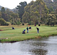 Penguin Golf Course - Tweed Heads Accommodation