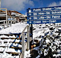 Ben Lomond National Park - Tweed Heads Accommodation