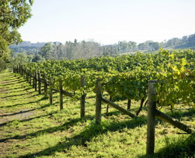 Surveyor's Hill Vineyards - Tweed Heads Accommodation 0