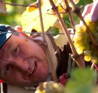 Puddleduck Vineyard - Tweed Heads Accommodation