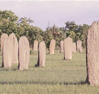 Magnetic Termite Mounds - Tweed Heads Accommodation