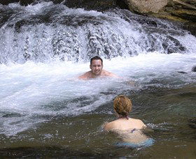 Berry Springs Nature Park - Tweed Heads Accommodation 0