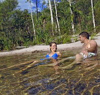 Tjaynera/Sandy Creek Falls - Tweed Heads Accommodation