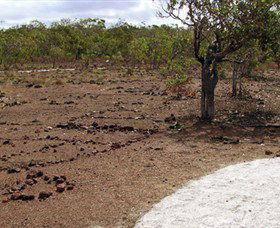 Wurrwurrwuy Garanhan Macassan Beach Interpretive Walk - Tweed Heads Accommodation 0