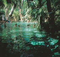 Mataranka Thermal Pool - Tweed Heads Accommodation
