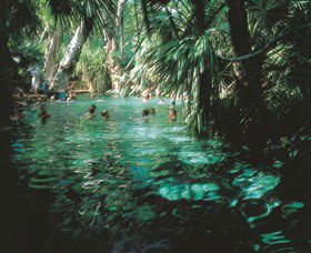 Mataranka Thermal Pool - Tweed Heads Accommodation 0