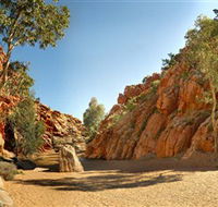 Emily and Jessie Gaps Nature Park - Tweed Heads Accommodation