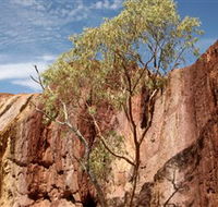 Ochre Pits - Tweed Heads Accommodation