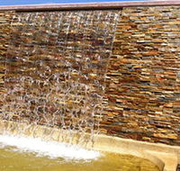 Howard Springs Nature Park - Tweed Heads Accommodation