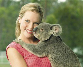 Paradise Country Aussie Farm Tour - Tweed Heads Accommodation 0