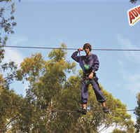Adventure Parc at Currumbin Wildlife Sanctuary - Tweed Heads Accommodation